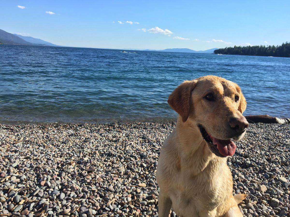 Flathead Lake Resort Woods Bay Екстериор снимка